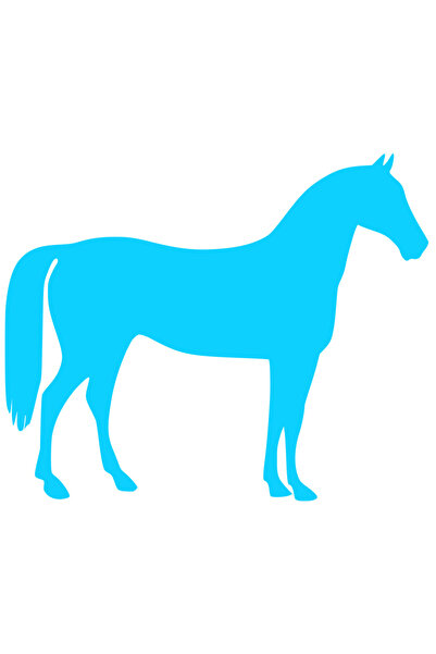 StoryGift Romania Sticker Autocolant 70CM Exterior cu un cal - pentru pasiona...