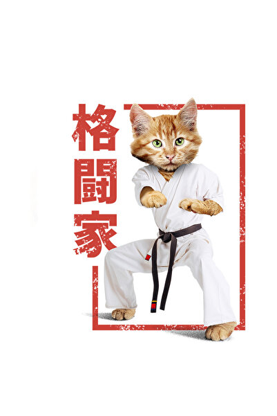 StoryGift Romania Sticker Autocolant 70CM Cu Pisica, Karate, Kung Fu, Centura Neagra, Luptator, cu Margini Albe