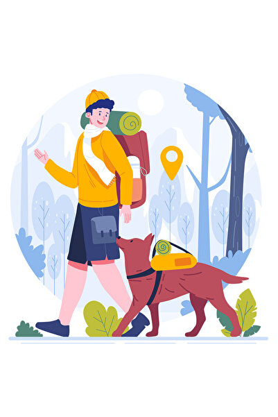 StoryGift Romania Sticker Eticheta 40CM Cu Sport, Drumetie, Munte, Padure, Caine, Fular, Soare, cu Margini Albe