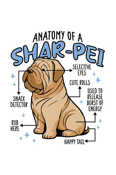 StoryGift Romania Sticker Eticheta 40CM Cu Text In Engleza Anatomy Of a Shar-pei, Caine Rasa Sar-pei, Animal DE