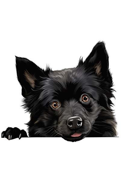 StoryGift Romania Sticker Adeziv 90CM cu un catel negru care se uita curios, ...