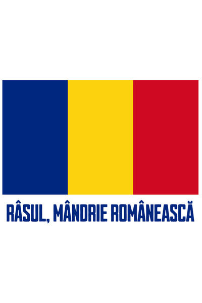 StoryGift Romania Sticker Autocolant 70CM Adeziv Mesaj haios drapel steag Rom...