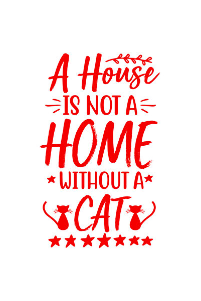 StoryGift Romania Sticker Exterior pentru cei care cred ca o casa nu este "ac...