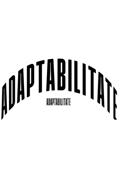 StoryGift Romania Sticker Autocolant 70CM Cuvantul Adaptabilitate, Motivational, Self Help, Intelegere de Sine,