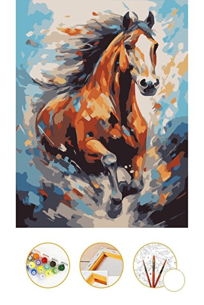 Puzzle Sayılarla Boyama TUVAL ÇERÇEVELİ GERİLMİŞ BOYA FIRÇA HEDİYELİ YAĞLI BO...