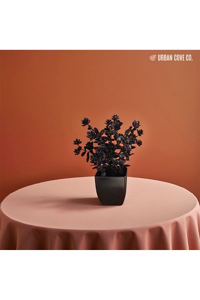 UrbanCove Co Μαύρο Τεχνητό Φυτό σε Μαύρη Γλάστρα – Μοντέρνα Διακοσμητική Γλάστρα - 20 cm