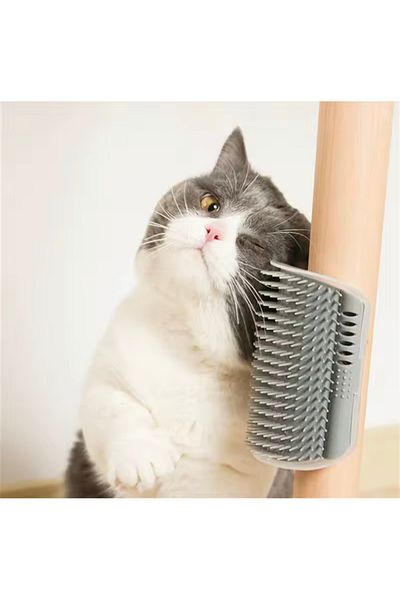 BGA Cat It Cat Itching Apparatus Cat Grooming Feather Comb