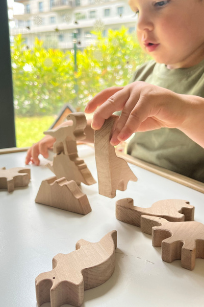 zoziva مجموعة ديناصورات خشبية طبيعية، لعبة خشبية عضوية، مجموعة حيوانات خشبية ...