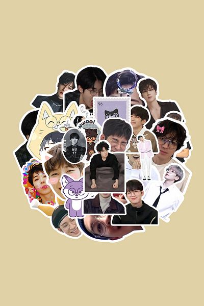 dadi ramba Wonwoo Sticker Pack -Bullet Journal - Agenda -Laptop Sticker Decal