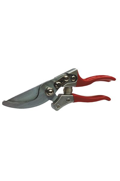 flores Vine shears, orange, 220 mm