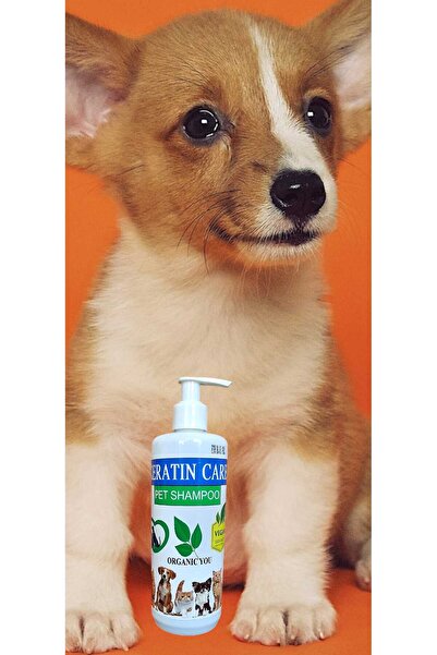 ORGANICYOU ALWAG KERATIN CARE PET (KEDİ &KÖPEK) SHAMPOO VEGAN SİLİKONSUZ, PARABENSİZ ŞAMPUAN 400 ML