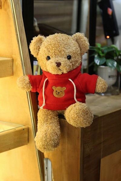 Chavin 30 cm Brown Gift Plush Teddy Bear Bear-06