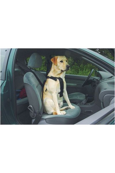 Beeztees Dog In-Car Harness, Black, 40-65cm Chest Diameter, 15mm