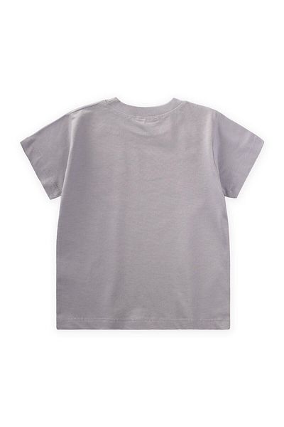 Cigit 55 Printed T-Shirt 2-7 Years Gray