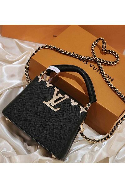 Louis Vuitton Louis Vuitton Princess Bag with Accessories