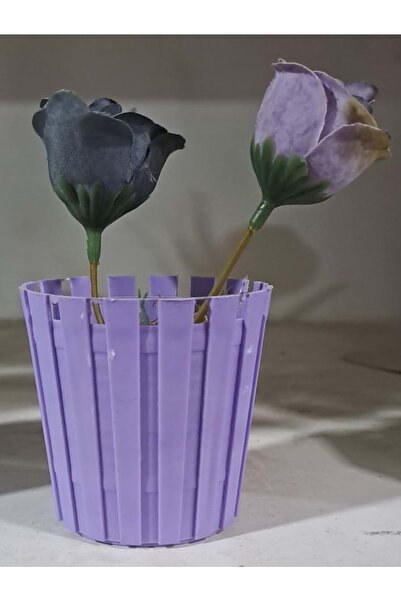 Leva House EVD MİNİ FIÇI SAKSILI ÇİÇEK GÜL EVA 5485 ( 6 x 6 cm )