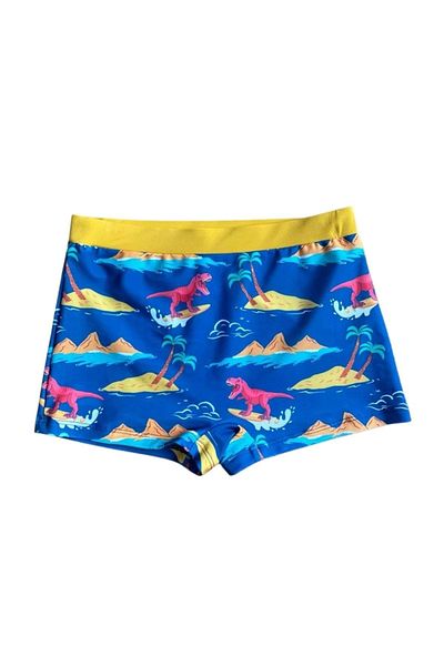 wakawakakidsstore Blue Boy's Swim Shorts with Dinosaur and Palm Tree Pattern - Blue