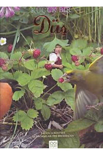 Marvel A Little Dream