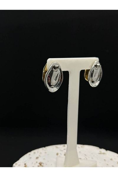 lysiaaccessory Steel Double Color Plate Earrings
