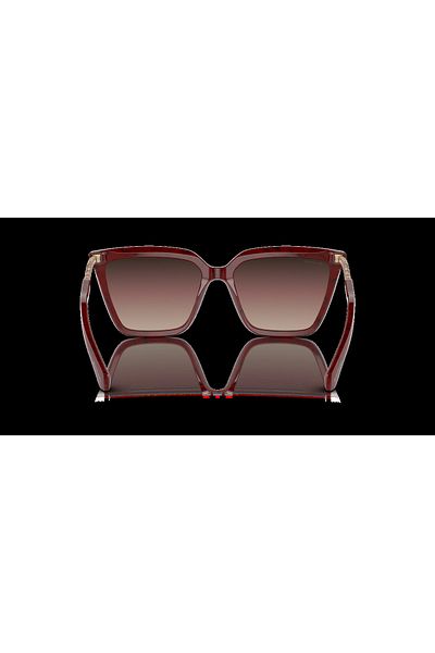 Bvlgari Woman Cat Eye Sunglasses- Bv 8255b - Lense Size:57mm - Marbled Cherry