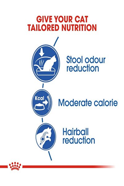 Royal Canin Royal Canin Feline Health Nutrition Indoor 4Kg Cat Dry Food