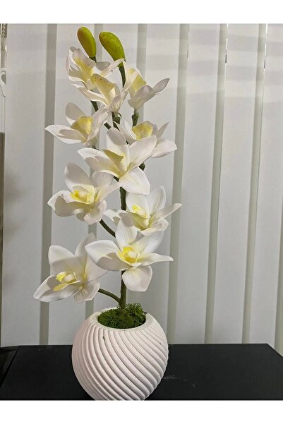 florasepeti YAPAY ORKİDE BETON SAKSIDA BOY:42 CM