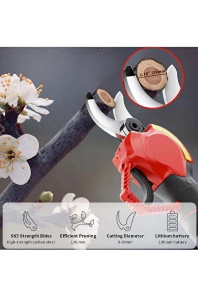 Denx Portable Cordless Electric Tree Pruning Shears, Replaceable Blades, 500W Battery
