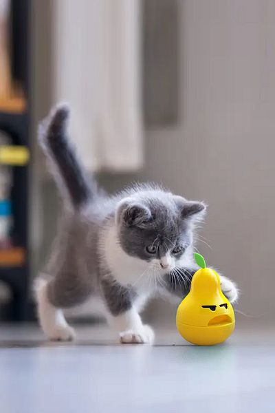 Bundera Interactive Cat Treat Toy Swinging Pear Toy with Food Bowl for Treat Food