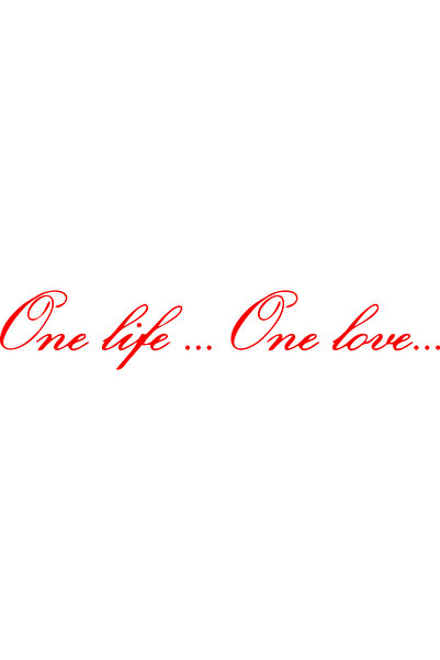 Birim Matbaa One Life One Love Text Car Sticker (47X10 cm)