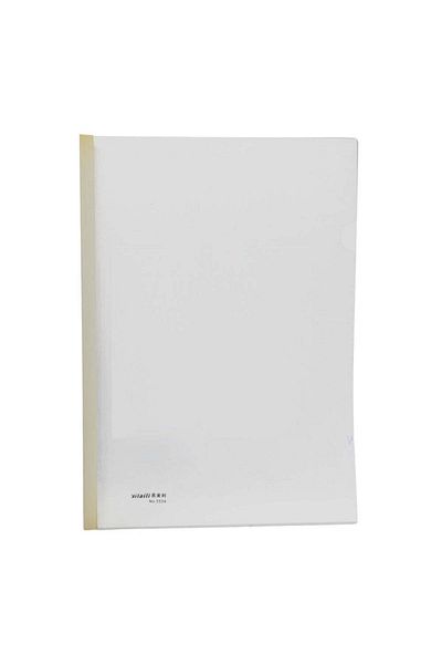 Generic A4 plastic file