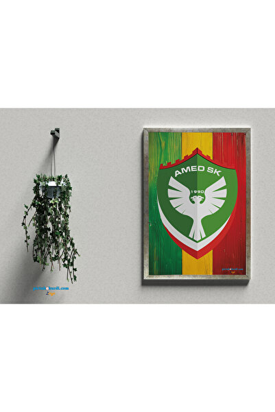 ZERYA Amedspor Çerçeveli Posterleri - Amed Spor Posteri (EBAT 32X47 CM ÇERÇEVELİ)