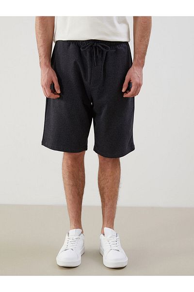 LC Waikiki Standard Fit Men's Shorts