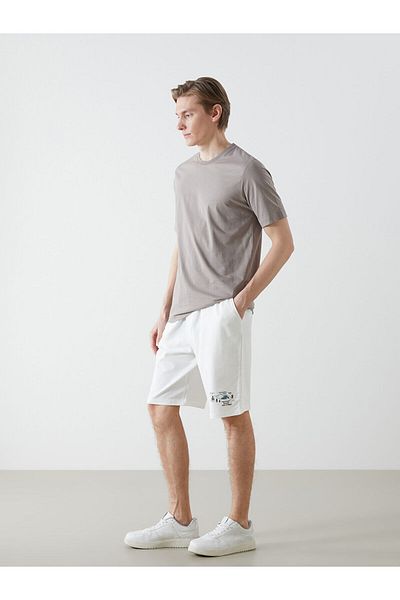 LC Waikiki Standard Fit Men's Shorts