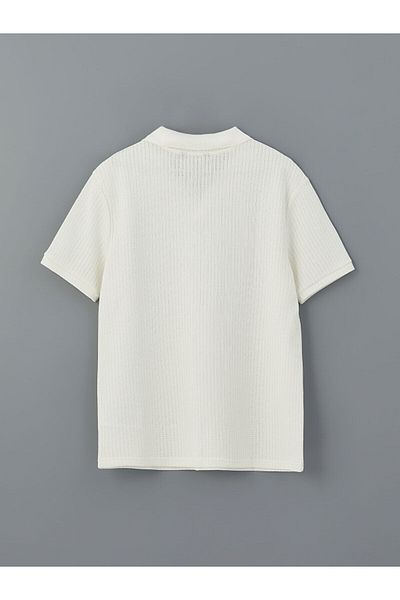 LC Waikiki Ανδρικό μπλουζάκι με κοντό μανίκι Polo λαιμόκοψη