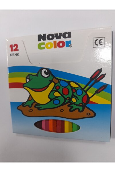 Nova Color Novacolor 12 renkli silinebilir boya kalemi
