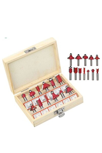 GFB AHŞAP FREZE UÇ SETİ 6mm- 12 PARÇALI