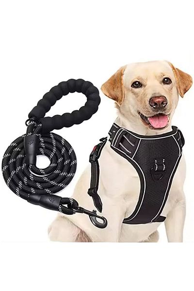 REDz Accessories Set ham și lesă, pentru câini, mărimea XL, benzi reflectorizante, mâner de control, material textil, negru