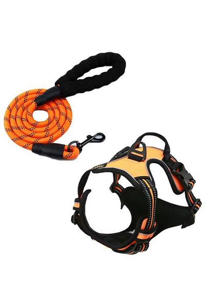 REDz Accessories Set ham și lesă, pentru câini, mărimea XL, benzi reflectorizante, mâner de control, textil, portocaliu