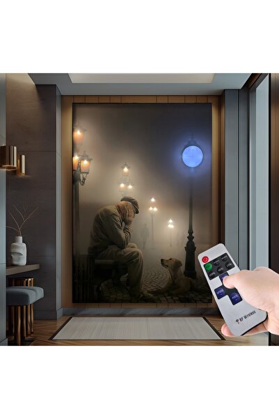 EMYA HOME Led Işıklı Uzaktan Kumandalı Yalnızlık Kanvas Tablo