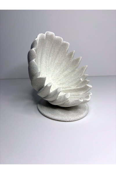 Gragold3Design Deniz Kabuğu Görünümlü Açık Saklama Kutusu – Dekoratif ve Şık ...