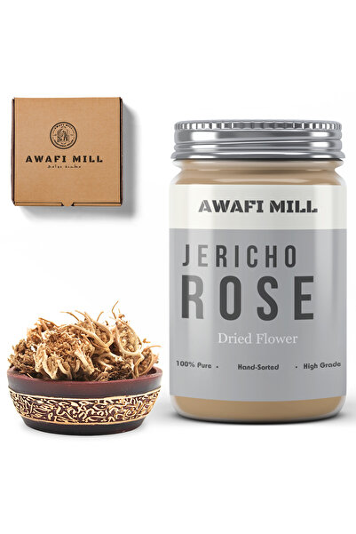 AWAFI MILL وردة أريحا | شجرة مريم - عبوة من ٣ زهور