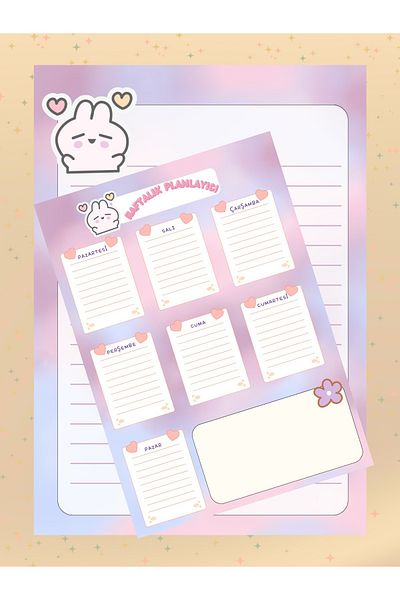 Ez&Tu Stıcker Mini Rabbit A4 A5 Notepad Planner School Set