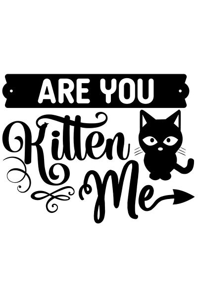 StoryGift Romania Sticker Eticheta 40CM Exterior cu mesajul in engleza "Are you kitten me?" - glumesti cu mine?