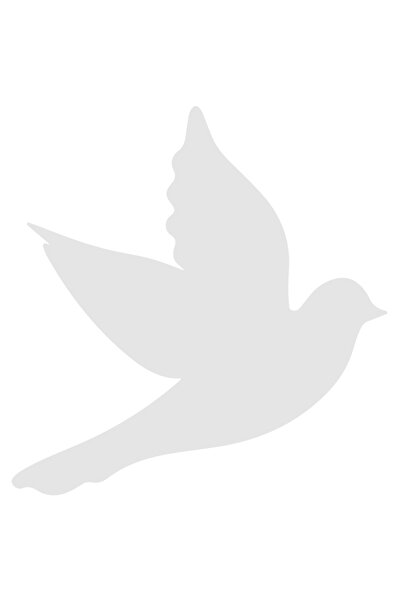 StoryGift Romania Sticker Adeziv 90CM Exterior cu un porumbel in zbor , Vinyl...