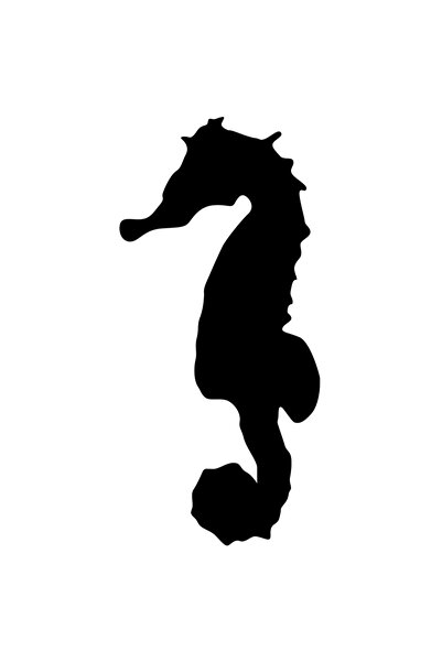 StoryGift Romania Sticker Exterior Cu Un Calut De Mare , Vinyl Negru, 70 Cm