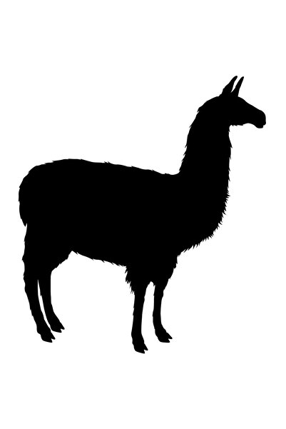 StoryGift Romania Sticker Autocolant 70CM Exterior cu o llama care priveste i...