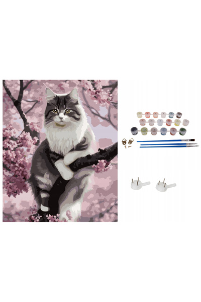 zola Paint by numbers set for children and adults with watercolors, canvas 40×50 cm, Kitten in apple blossom