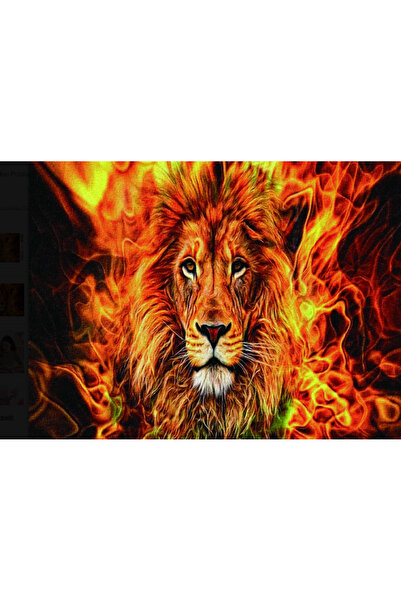 zola Goblen mozaic cu diamante, model leu si flacari, 30 x 40 cm