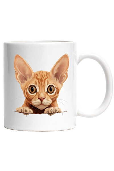 StoryGift Romania Cana cu o pisicuta speriata | ilustratie | socata | privire...