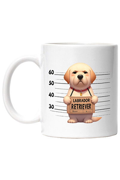 StoryGift Romania Cana cu Labrador Retriever, caine, animal de companie, ilus...